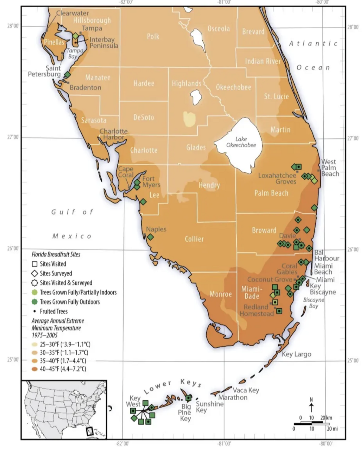 Russell Fielding and Jorge Zaldivar identified forty-three breadfruit growers in Florida, with a total of more than 121 individual breadfruit trees in 2022. That number has likely grown. For example, as Grimal Grove added 18 trees since then.